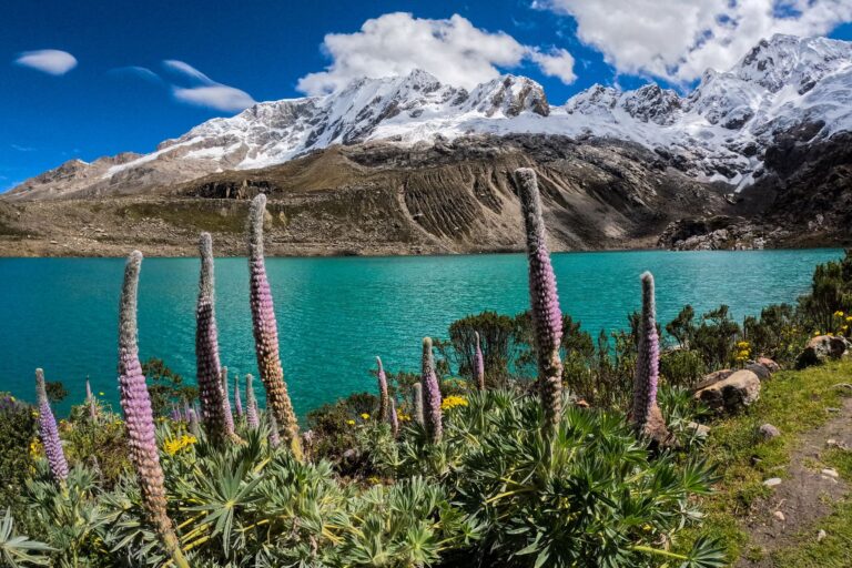 Laguna Rocotuyoc