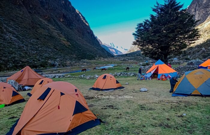 Llamacorral Camp
