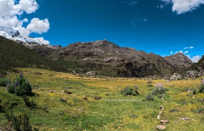 Paccharuri Valley