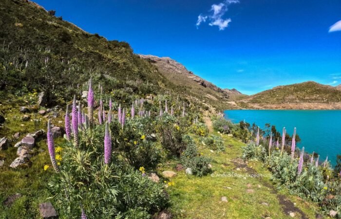 Rocotuyoc Lake