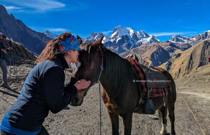 Thanks to our emergency horses, our hikes are safer